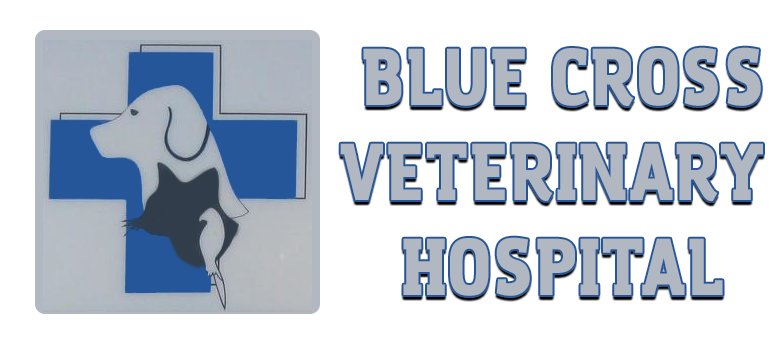 Blue Cross Veterinary Hospital